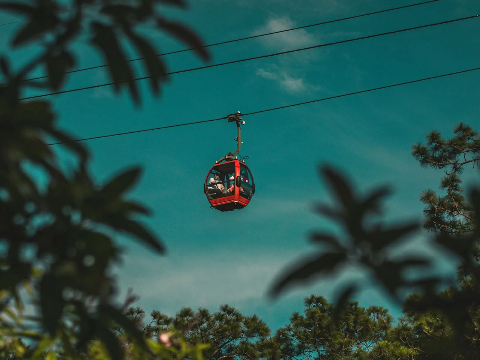 A red Da Lat Cable Car cabin with passengers gliding over the pine trees under a blue sky